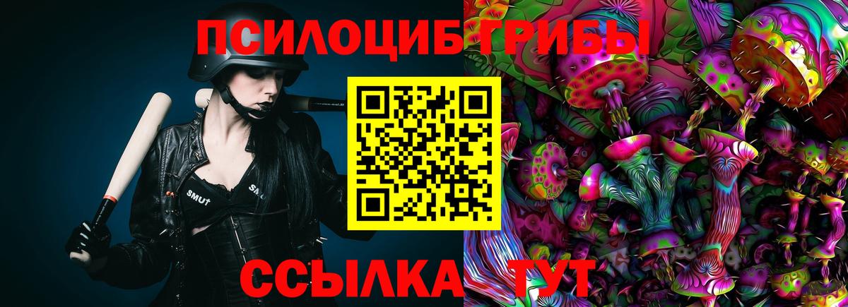 Галлюциногенные грибы мицелий  дарнет шоп  Волжский  Галлюциногенные грибы Psilocybine cubensis  Вход с VPN 
